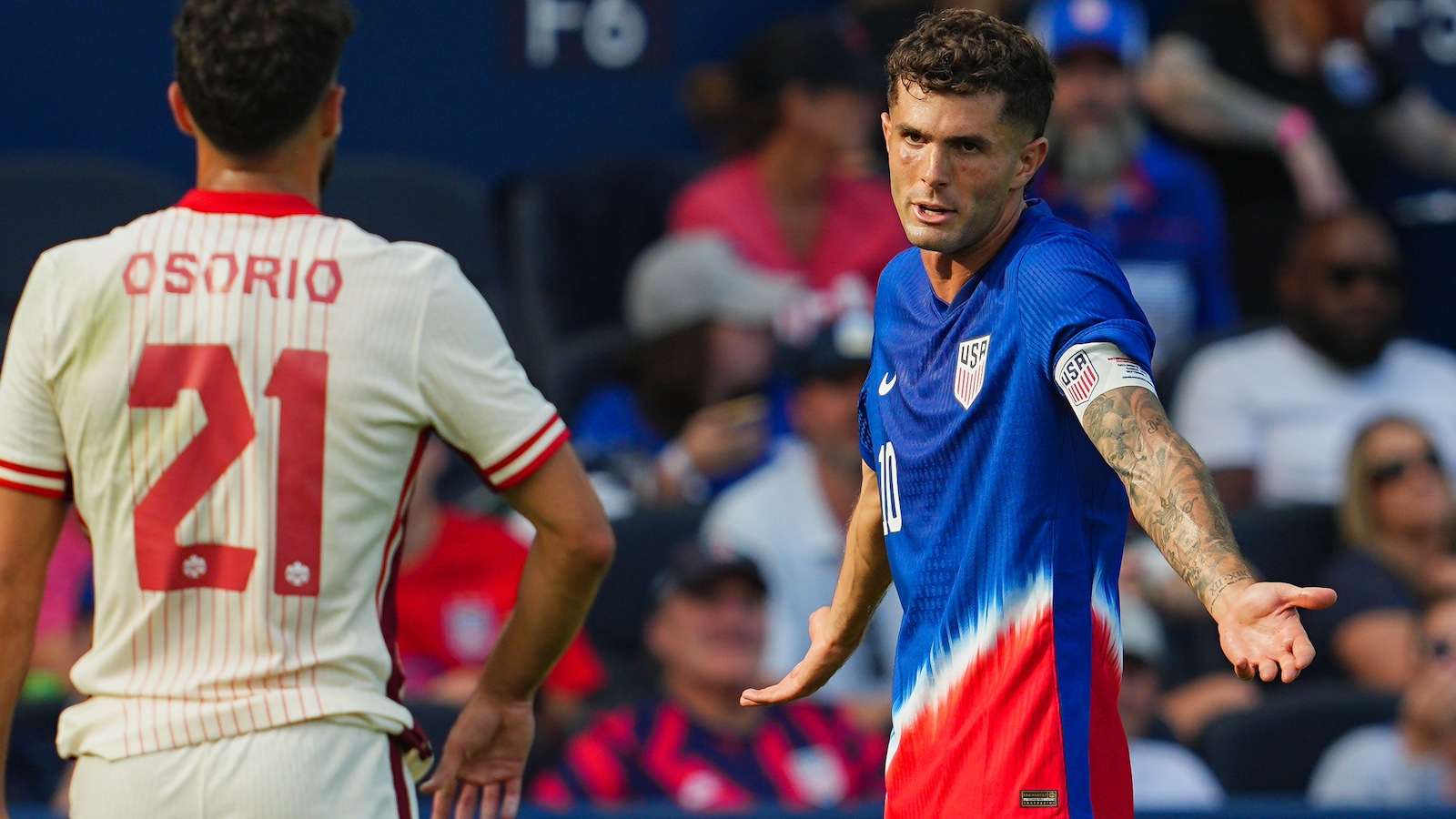 球迷的支持 球迷的支持